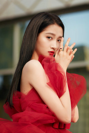 艾米丽的圣诞餐厅