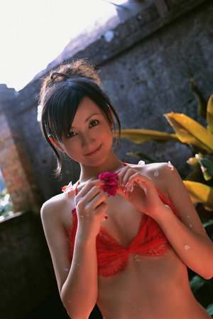 老鼠驾车修改版