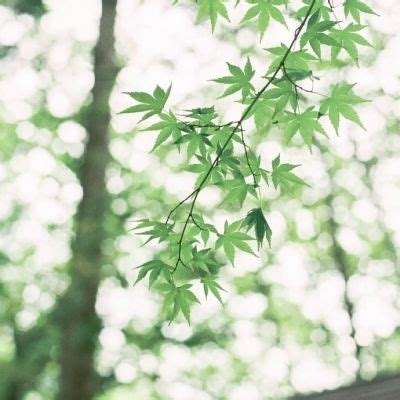 齐齐哈尔房产网