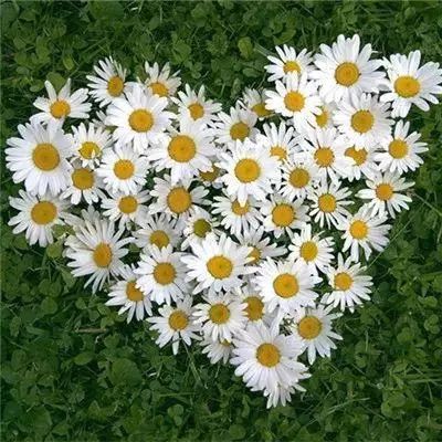 少年骇客夺基地无敌版