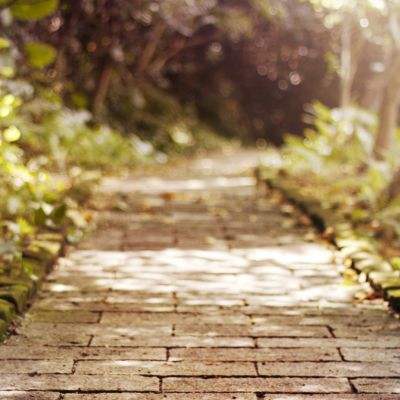 山地坦克中文版