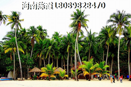 北京客er 一居  户型图