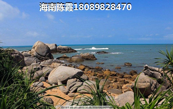 K2清水湾西园K2清水湾1#G1-6（奇）户型 两居  户型图