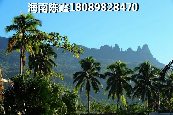 青城半岛青城半岛D1户型图 复式  户型图