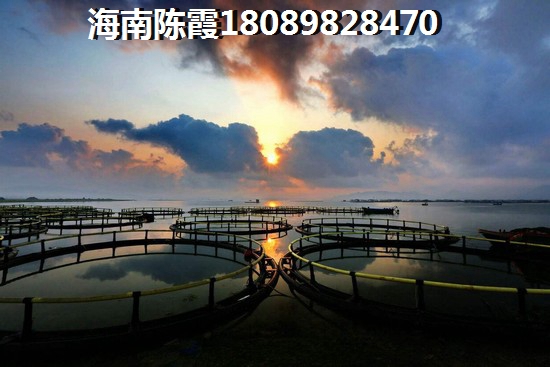绿地新都会微堂 一居  户型图