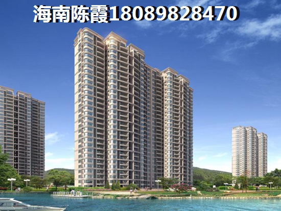 兴创D标 一居  户型图