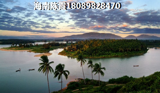 都城心屿 一居  户型图