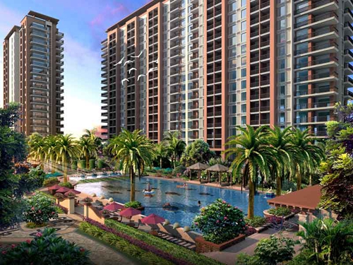 唐宁府 一居  户型图