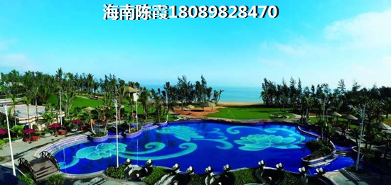 未来港 建筑规划 
