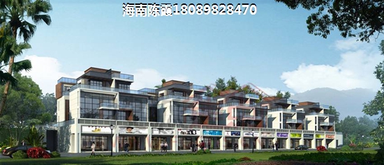 顶秀美泉小镇 建筑规划 