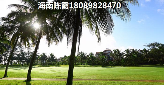 金运大厦 建筑规划 