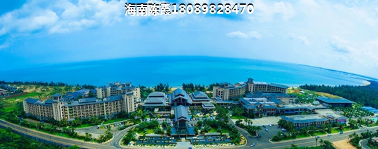 广澳中心 建筑规划 