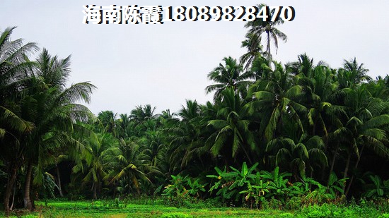 鹏睿大厦